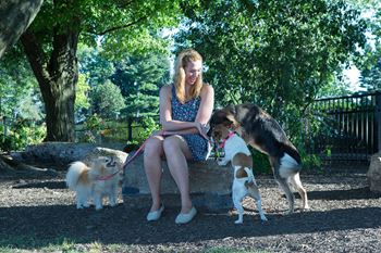 Dog park